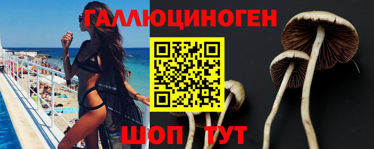 купить   Галлюциногенные грибы мухоморы  Вход с VPN  Сертолово 